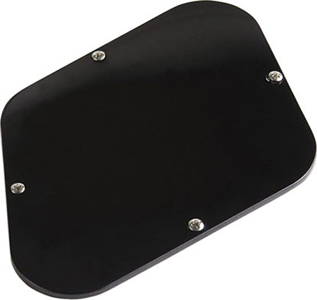 Gibson Control Plate Black - Backplate for electronics - Main picture