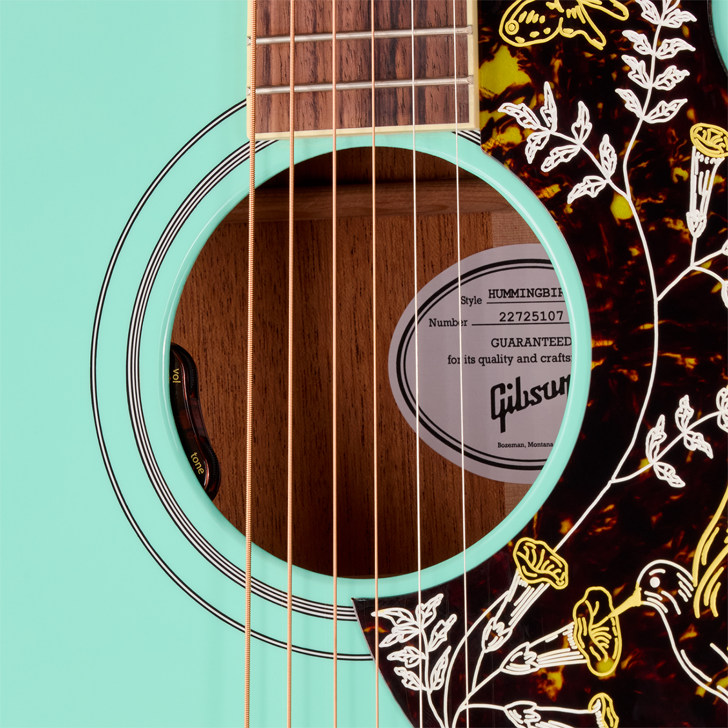 Gibson Hummingbird Standard (baggs Hifi Dna) Dreadnought Epicea Acajou Rw - Southwestern Turquoise - Folk guitar - Variation 4