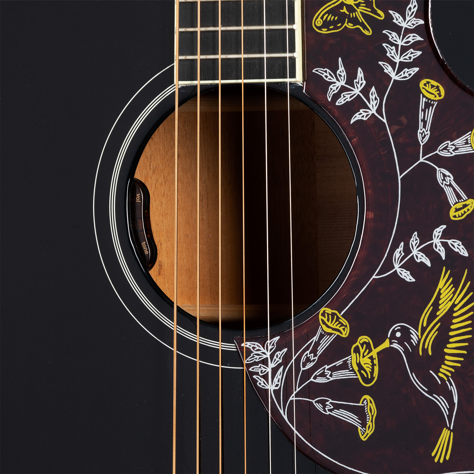 Gibson Hummingbird Standard Modern Dreadnought Epicea Acajou Rw - Ebony - Folk guitar - Variation 4