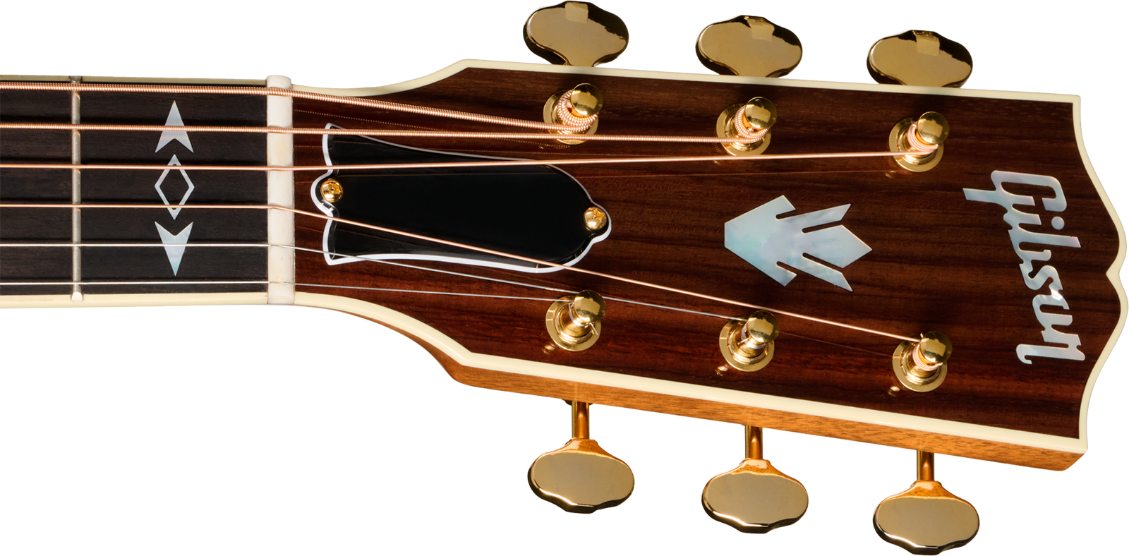 Gibson Songwriter Recording Artist (baggs Hifi Dna) Dreadnought Epicea Palissandre Eb - Rosewood Burst - Folk guitar - Variation 4