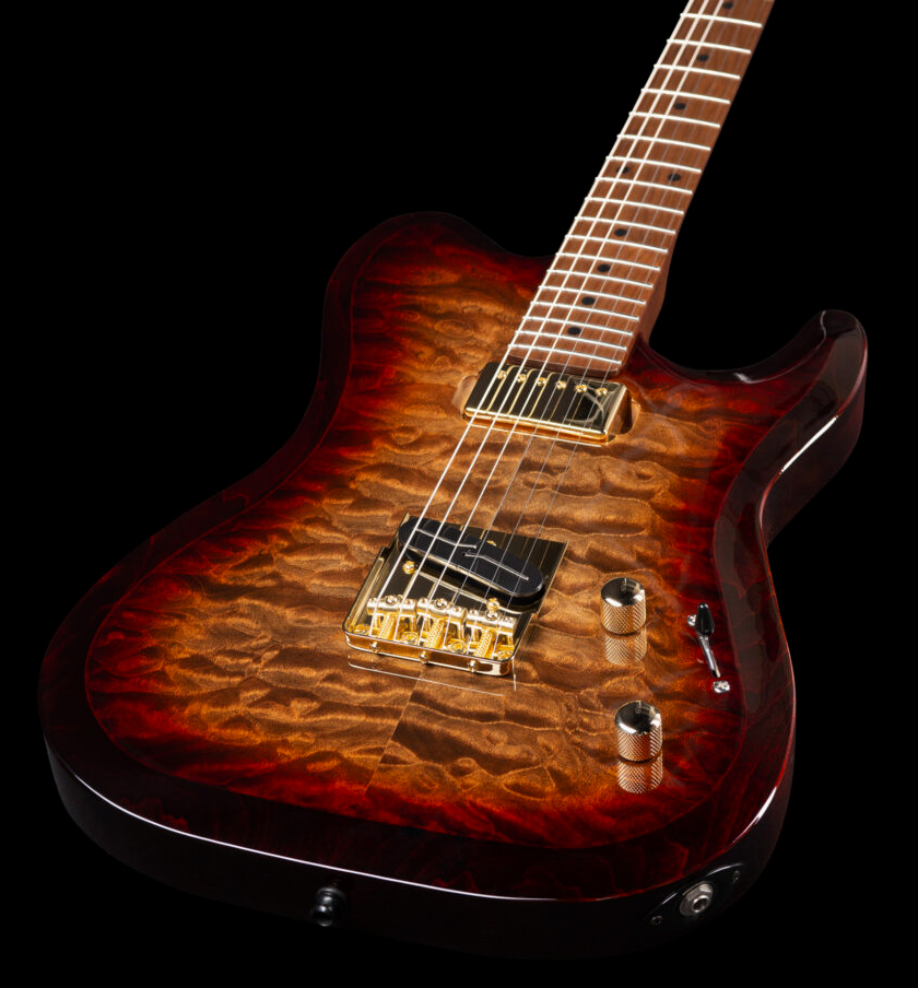Godin Artisan Tc Sh Ht Mn - Whiskey Burst - Tel shape electric guitar - Variation 2