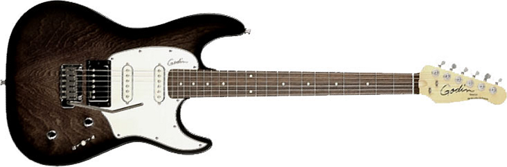 Godin Double Cutaway Session Rw - Blackburst Sg - Str shape electric guitar - Main picture