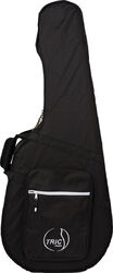 Acoustic guitar case Godin Tric