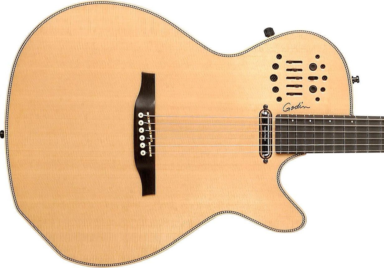 Godin Multiac Steel Spectrum Sa Synth Access Ric +housse - Natural - Acoustic guitar & electro - Variation 1