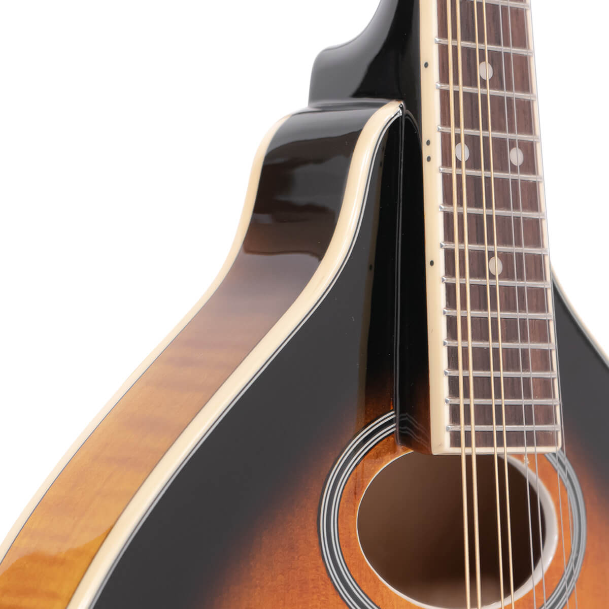 Gold Tone Gm50+ Mandoline Type A Epicea Erable Eb - Sunburst - Mandolin - Variation 2