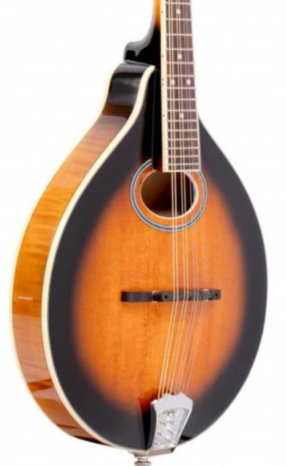 Mandolin Gold tone GM-50 + - Sunburst