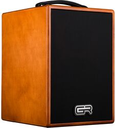 Acoustic guitar combo amp Gr bass WD Acoustic 8
