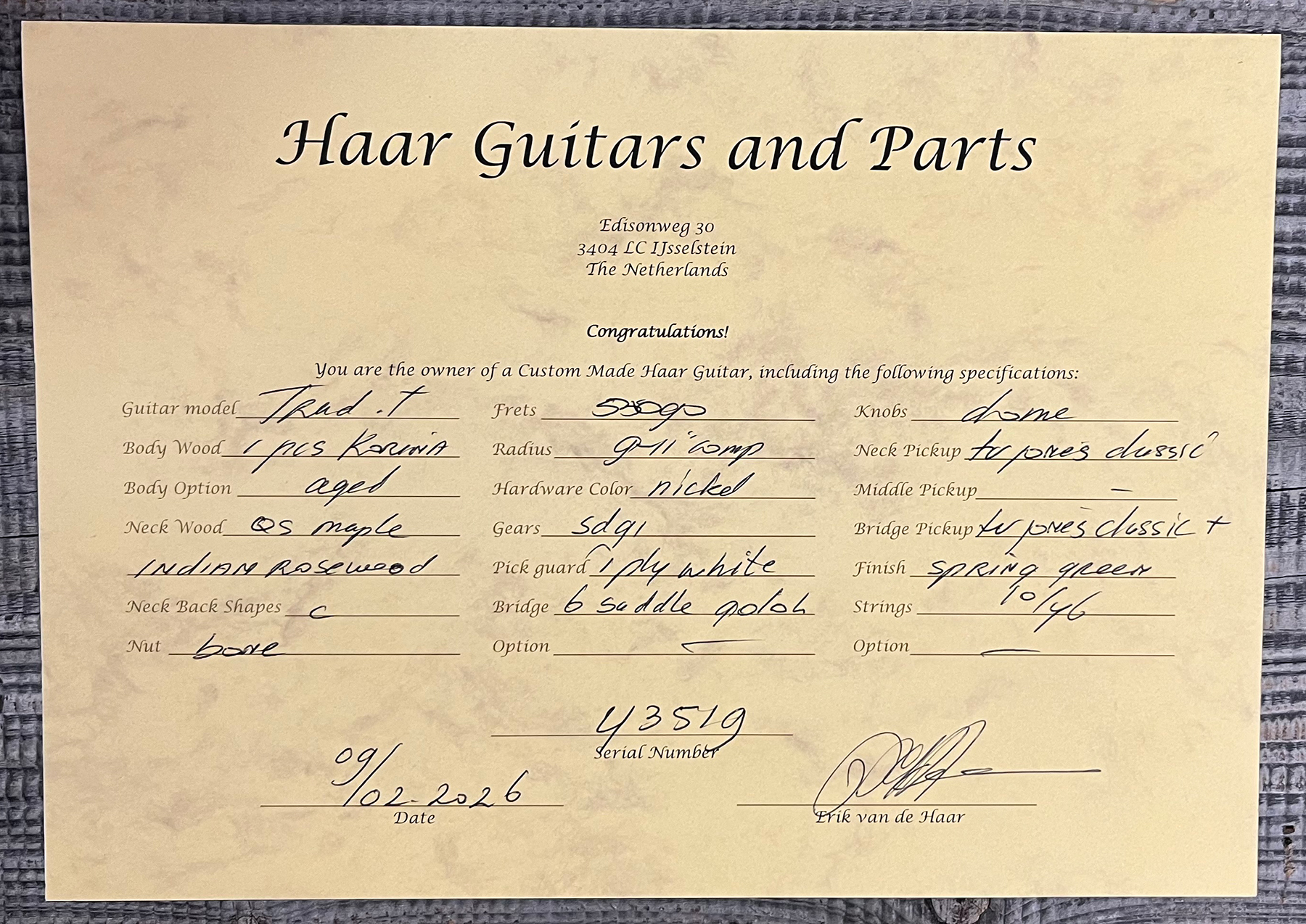 Haar Guitars Trad T Custom 2h Tv Jones Ht Rw #43519 - Aged Spring Green - Tel shape electric guitar - Variation 12