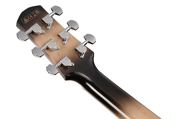 Ibanez Aam370m1ce Tpa Advanced Auditorium Epicea Erable Rw - Transparent Panda - Folk guitar - Variation 3