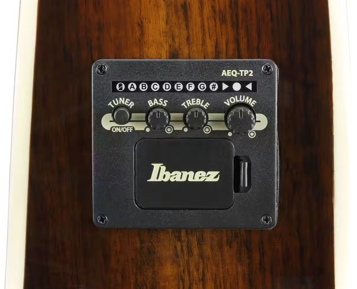 Ibanez Ae160 Vms Concert Thinline Cw Epicea Ovangkol  Ova - Vintage Mahogany Sunburst High Gloss - Folk guitar - Variation 4