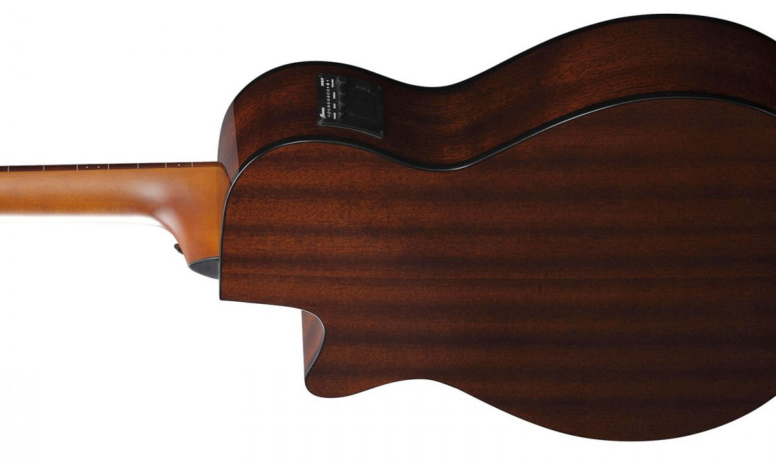 Ibanez Aegb24fe Mhs Fretless Cw Tout Sapele Noy - Mahogany Sunburst - Acoustic bass - Variation 3