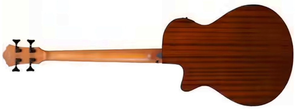 Ibanez Aegb25e Tkh Cw Epicea Sapele Rw - Transparent Black Sunburst - Acoustic bass - Variation 1