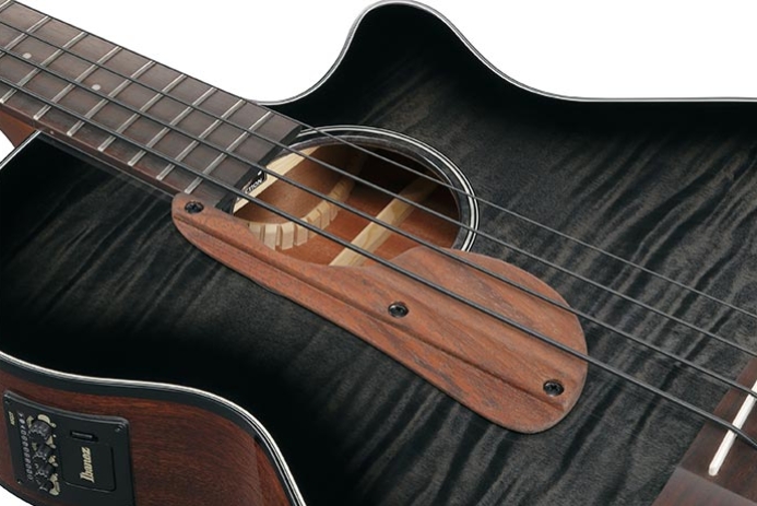 Ibanez Aegb25e Tkh Cw Epicea Sapele Rw - Transparent Black Sunburst - Acoustic bass - Variation 2