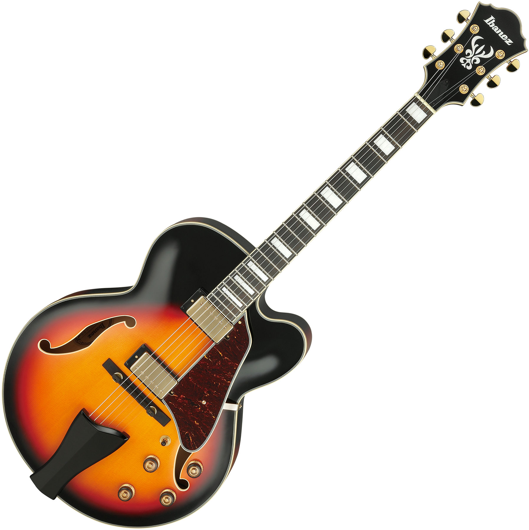 ibanez af100c