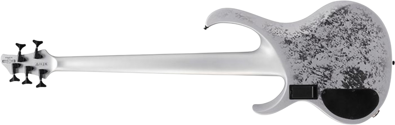 Ibanez Btb25th5 Slm Standard 5c Active Rw - Silver Blizzard Matte - Solid body electric bass - Variation 1