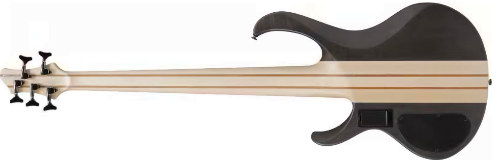 Ibanez Btb605 Tgf Standard 5c Active Eb - Transparent Gray Flat - Solid body electric bass - Variation 1