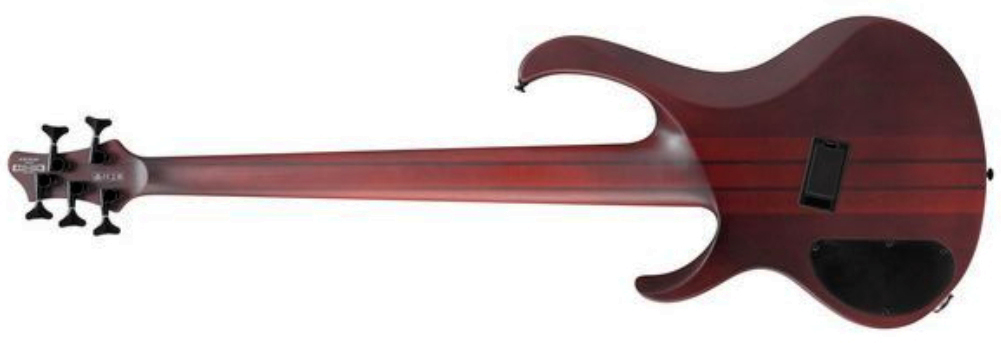 Ibanez Btb705lm Nnf Workshop 5c Multiscale Active Rw - Natural Browned Burst Flat - Solid body electric bass - Variation 1