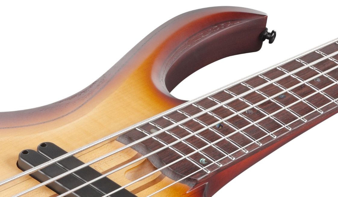 Ibanez Btb705lm Nnf Workshop 5c Multiscale Active Rw - Natural Browned Burst Flat - Solid body electric bass - Variation 3
