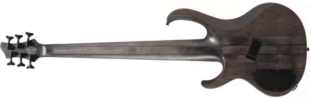 Ibanez Btb806ms Tgf Workshop 6c Multiscale Active Pp - Transparent Gray Flat - Solid body electric bass - Variation 1