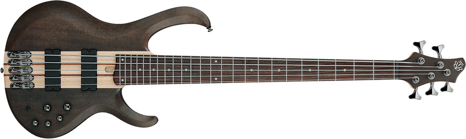 Ibanez Btb605 Tgf Standard 5c Active Eb - Transparent Gray Flat - Solid body electric bass - Main picture