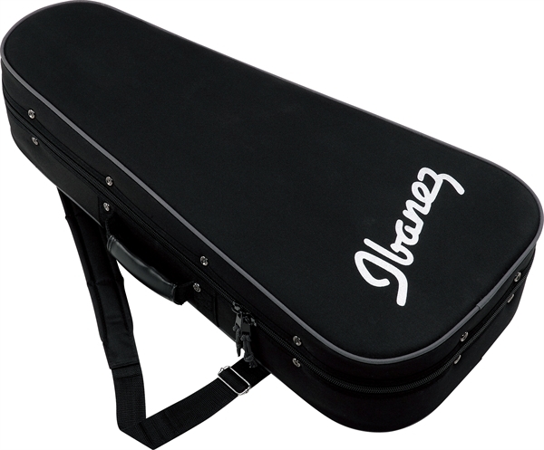 Ibanez mandolin case top