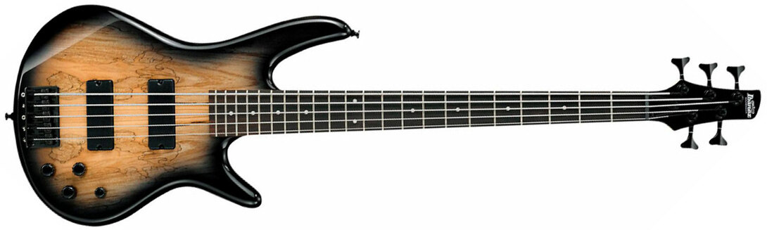 Ibanez Gsr205sm Ngt Gio Nzp - Natural Gray Burst - Solid body electric bass - Main picture