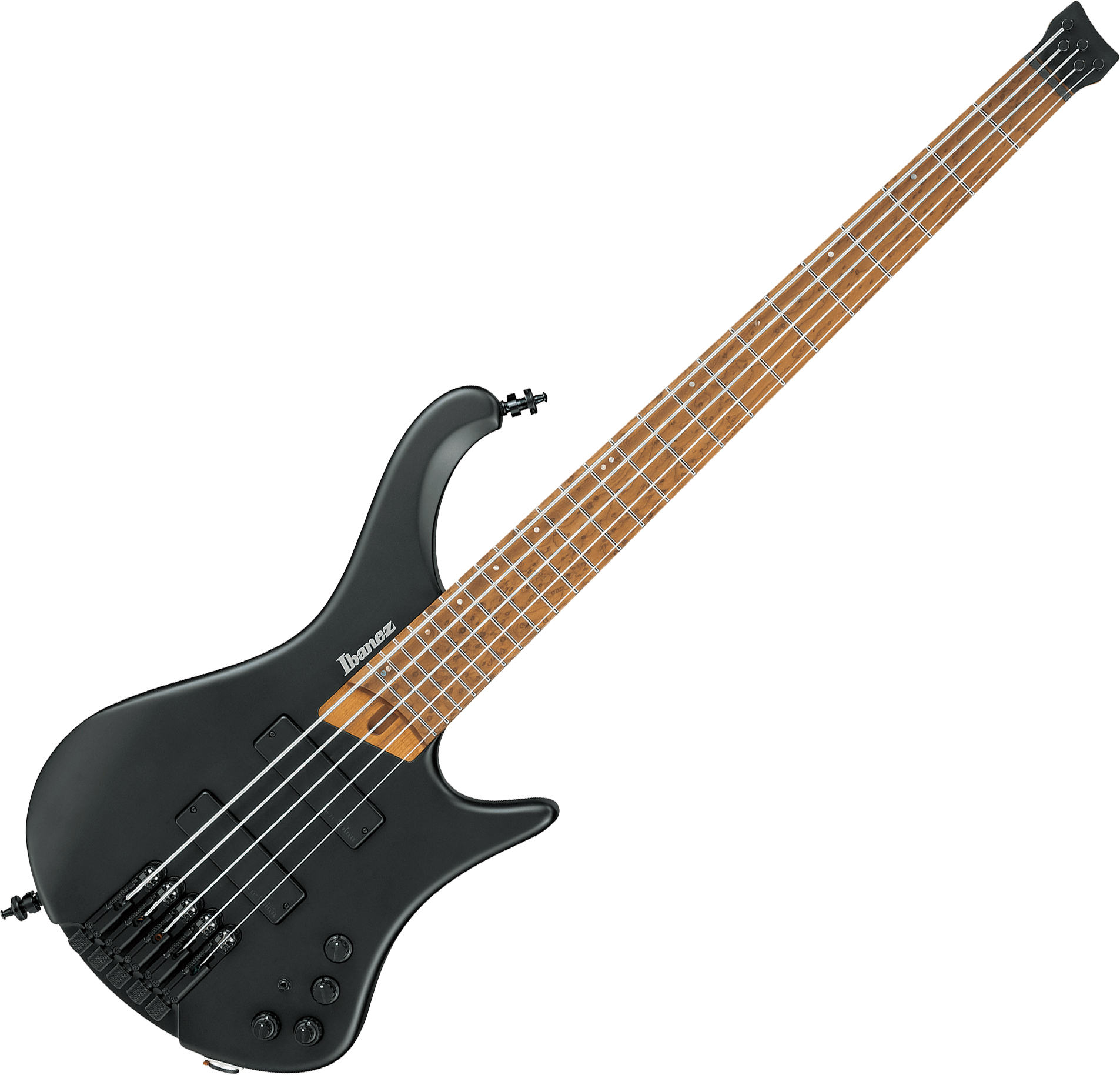ibanez wb250c