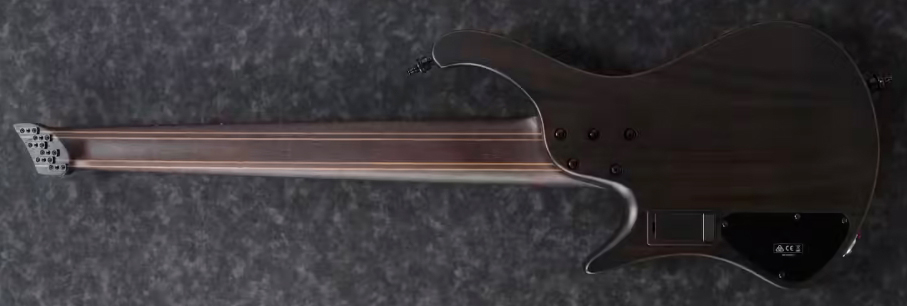 Ibanez Ehb1506ms Bif Workshop 6c Multiscale Active Pp - Black Ice Flat - Solid body electric bass - Variation 1