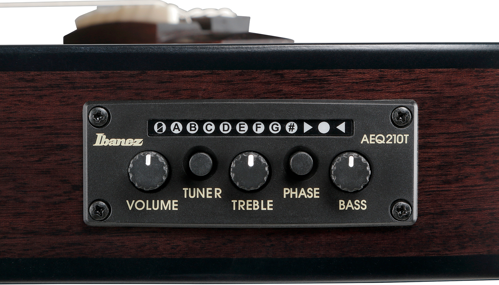 Ibanez Frh20fmn Dgl Hollow Cw Erable Sapele Rw - Deep Emerald Green - Classical guitar 4/4 size - Variation 4