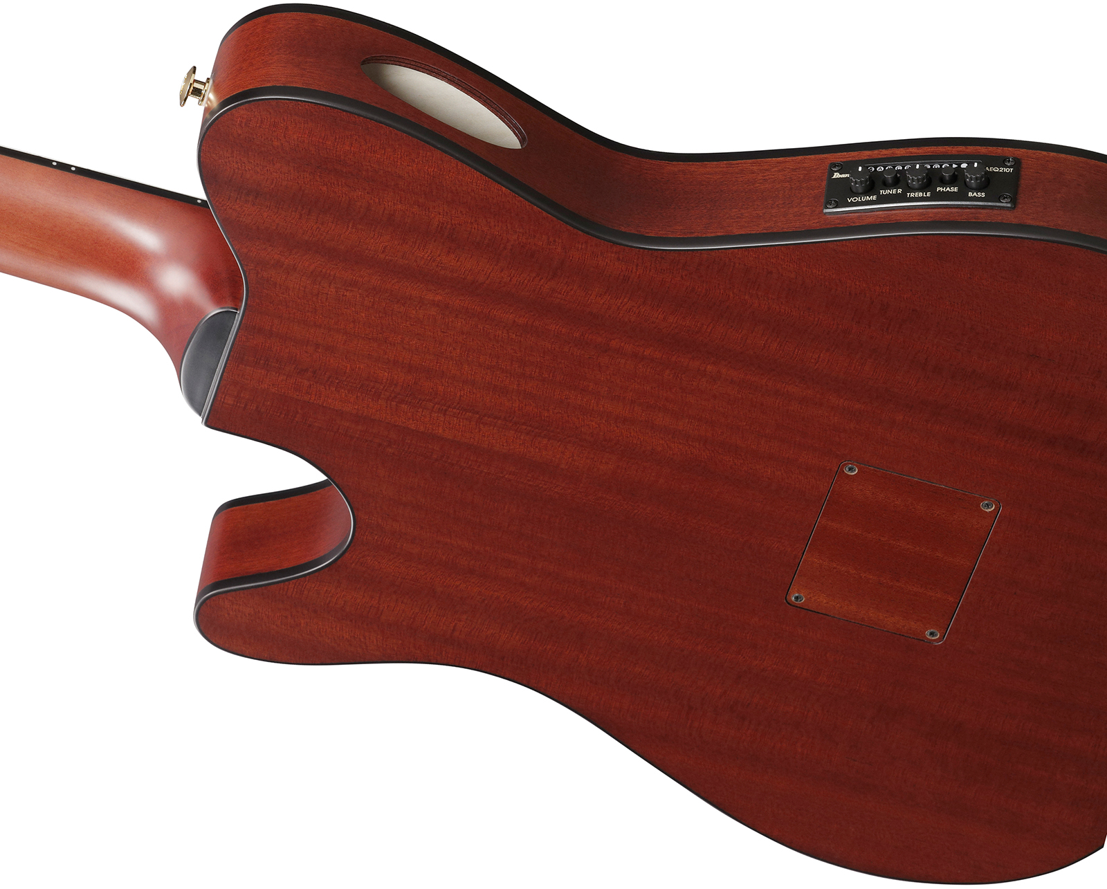 Ibanez Frh20qmn Tcl Fr Hollow Cw Erable Sapele Rw - Tobacco Burst Low Gloss - Classical guitar 4/4 size - Variation 3