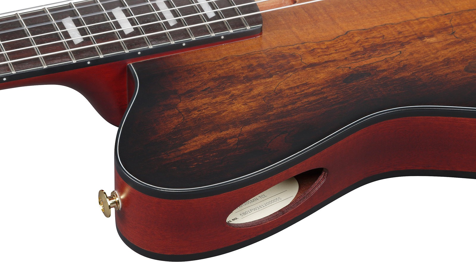Ibanez Frh20qmn Tcl Fr Hollow Cw Erable Sapele Rw - Tobacco Burst Low Gloss - Classical guitar 4/4 size - Variation 4