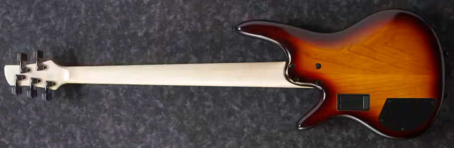 Ibanez Gary Willis Gwb205 Tqf Signature Fretless 5c Active Bartolini Eb - Tequila Sunrise Flat - Solid body electric bass - Variation 1