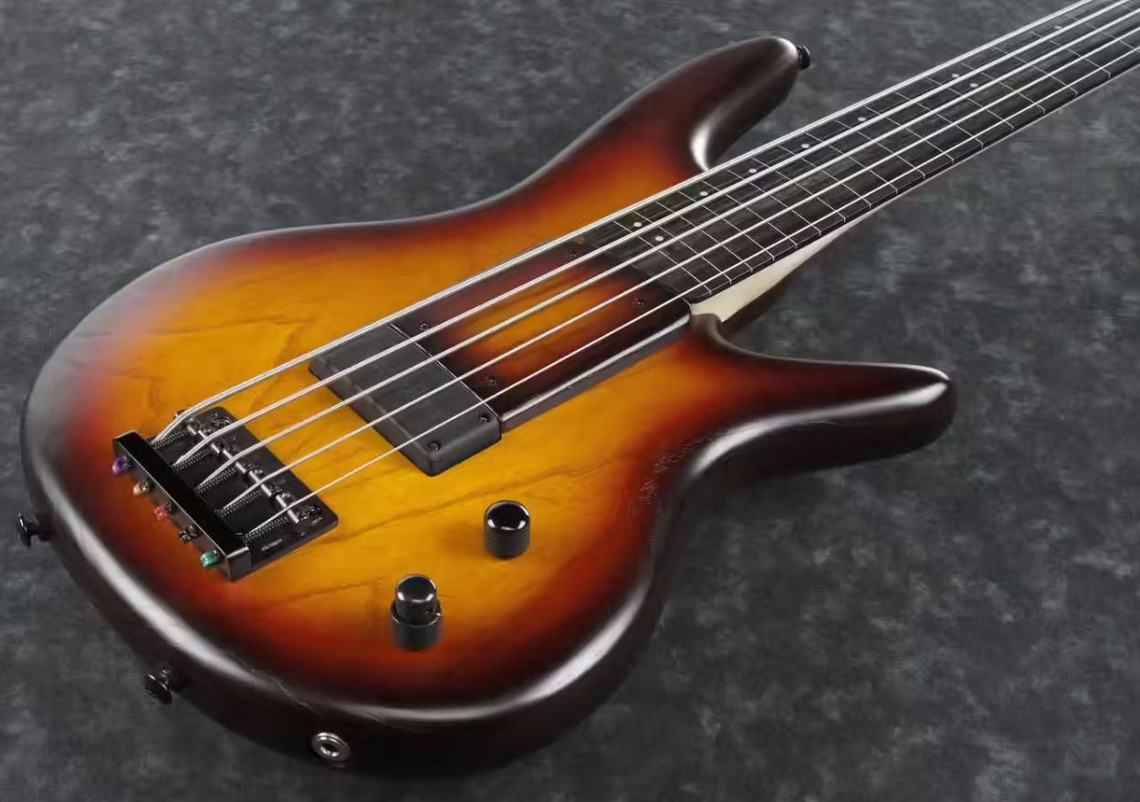 Ibanez Gary Willis Gwb205 Tqf Signature Fretless 5c Active Bartolini Eb - Tequila Sunrise Flat - Solid body electric bass - Variation 2