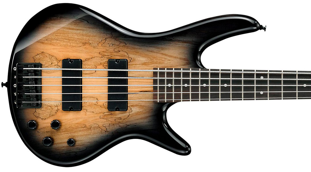 Ibanez Gsr205sm Ngt Gio Nzp - Natural Gray Burst - Solid body electric bass - Variation 1
