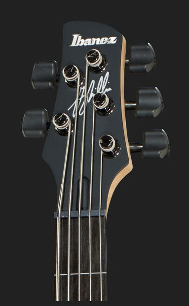 Ibanez Gary Willis Gwb35 Bkf Signature 5-cordes - Black Flat - Solid body electric bass - Variation 6