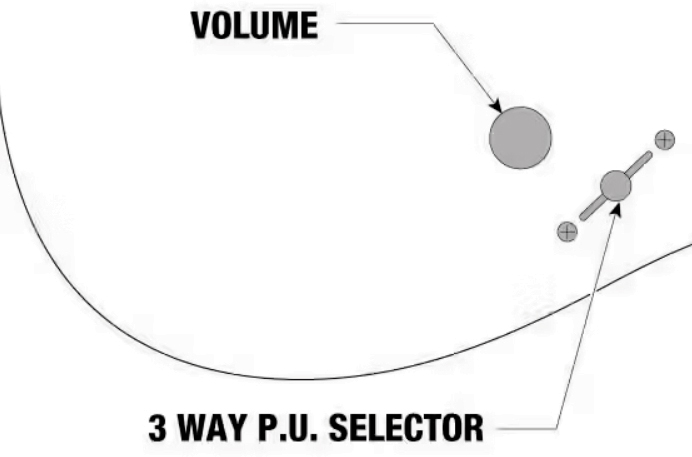 Ibanez Head K7yang Signature 7c 2h Dimarzio Ht Rw - White - Signature electric guitar - Variation 6