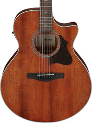Folk guitar Ibanez AE140 OPN - open pore natural