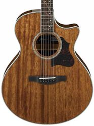 Folk guitar Ibanez AE245 NT - Natural