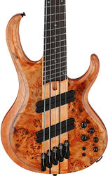 Solid body electric bass Ibanez Bass Workshop BTB805MS FNL 5-String - Florid Natural Low Gloss