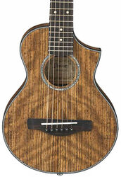 Travel acoustic guitar  Ibanez EWP14WB OPN - Open pore  natural