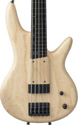 Solid body electric bass Ibanez Gary Willis GWB1005 NTF Prestige Japan - Natural flat