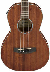 Acoustic bass Ibanez PNB14E OPN - Natural