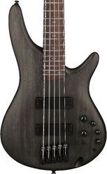 Standard SR505A TGF (5-String) - Transparent Gray Flat