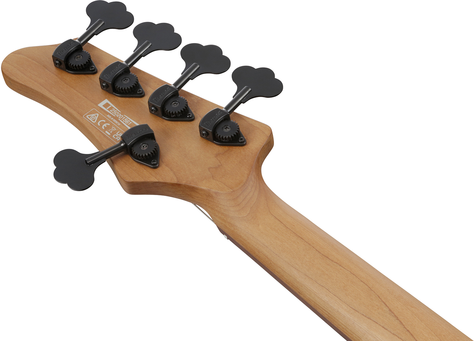 Ibanez Mdm1605 Dtw Mode 5c Active Rw - Deep Twilight - Solid body electric bass - Variation 4