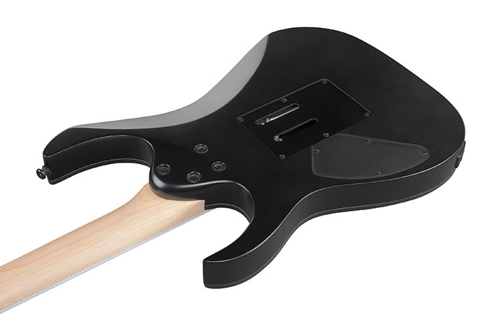 Ibanez Rg420ex Bkf Standard 2h Fr Jat - Black Flat - Str shape electric guitar - Variation 3