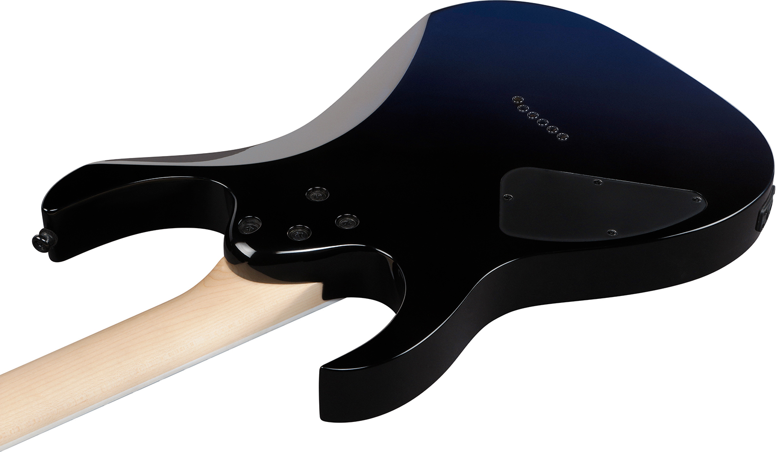 Ibanez Rg421dx Tws Standard 2h Ht Jat - Twilight Shade - Str shape electric guitar - Variation 3