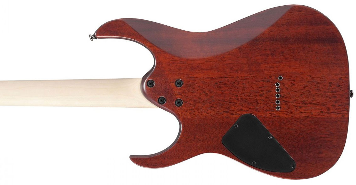 Ibanez Rg421s Sem Standard 2h Ht Ja - Sea Shore Matte - Str shape electric guitar - Variation 3