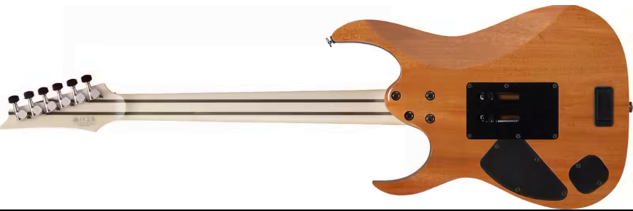 Ibanez Rg5440c Dfm Prestige Jap Hss Emg Trem Eb - Deep Forest Green Metallic - Str shape electric guitar - Variation 2