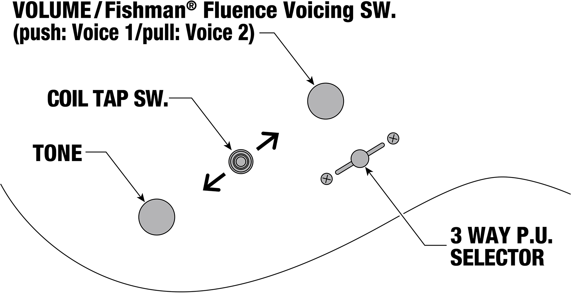 Fishman Lab