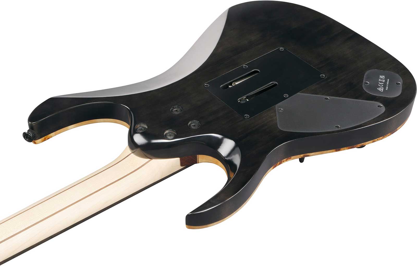 Ibanez Rga20p1pb Cul Premium 2h Dimarzio Fr Eb - Cosmic Blue Burst Low Gloss - Str shape electric guitar - Variation 3